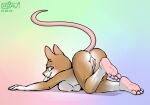  2020 abstract_background anthro ass_up blush breast_squish breasts brown_body brown_fur claws drjavi female fur gloves_(marking) gradient_background leg_markings looking_back mammal markings mouse murid murine nude raised_tail rodent simple_background smile socks_(marking) solo squish whiskers white_body white_fur 