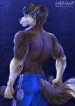  2020 5_fingers anthro athletic athletic_anthro athletic_male back_muscles biceps biggoodwolf black_body black_fur black_hair black_nose blue_bottomwear blue_clothing blue_highlights blue_shorts border_collie bottomwear butt canid canine canis clothed clothing collie digital_media_(artwork) domestic_dog exercise fingers floppy_ears fur furgonomics grin hair herding_dog highlights_(coloring) humanoid_hands littlebadwolf looking_at_viewer looking_back looking_back_at_viewer male mammal mason_(trivolmckenley) multicolored_body multicolored_fur muscular muscular_anthro muscular_male pastoral_dog pinup portrait pose sheepdog shorts signature smile solo teeth text three-quarter_portrait topless topless_male two_tone_body two_tone_fur url weightlifting weights white_body white_fur workout yellow_eyes 