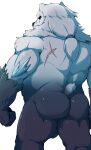  2021 absurd_res anthro black_nose butt fur genitals hi_res kemono league_of_legends male mammal musclegut muscular muscular_anthro orangetaming penis polar_bear riot_games scar simple_background solo ursid ursine video_games volibear white_background white_body white_fur 