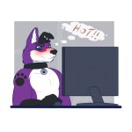  1:1 anthro blue_eyes blush browsing canid canine canis collar collar_tag computer computer_monitor domestic_dog elkhound fur kamelotnoah male mammal pawalo pawprint_marking purple_body purple_fur solo speech_bubble spitz 