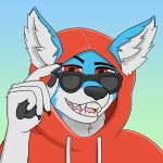  1:1 2018 ambiguous_gender anthro black_nose black_pawpads black_pupils blue_body blue_fur bust_portrait canid canine canis clothing digital_media_(artwork) eyewear fluffybuck fur glasses hi_res hoodie looking_at_viewer mammal open_mouth pawpads pink_tongue portrait pupils red_clothing red_eyes red_shirt red_topwear shirt simple_background smile solo sunglasses teeth tongue topwear white_body white_fur wolf 