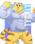  absurd_res animal_crossing anthro bottomless character_name claws clothed clothing featureless_crotch felid fur grey_clothing grey_topwear hi_res hoodie looking_at_viewer male mammal nintendo o-ro pantherine solo striped_body striped_fur stripes tiger topwear tybalt_(animal_crossing) video_games yellow_body yellow_fur 