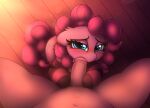  2021 absurd_res blush clothing cutie_mark duo eyebrows eyelashes faceless_male first_person_view friendship_is_magic genitals hasbro heavymetalbronyyeah hi_res human looking_at_viewer male mammal my_little_pony nude oral penis pinkie_pie_(mlp) sex solo_focus spread_legs spreading 