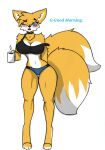 anthro big_breasts blush breasts crossgender female hi_res miles_prower pace-maker sega small_waist solo sonic_the_hedgehog_(series) thick_thighs wide_hips