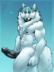 abs absurd_res afoxywitch anthro athletic big_penis black_nipples black_penis brand_new_animal fur genitals hi_res humanoid_genitalia humanoid_penis male muscular nipples penis shirou_ogami solo studio_trigger white_body white_fur