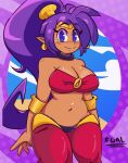 blue_eyes breasts clothing cloud day ear_piercing ear_ring female genie hair hi_res humanoid humanoid_pointy_ears long_hair navel not_furry piercing ponytail purple_hair ring_piercing shantae shantae_(series) signature solo supergal64 wayforward