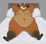 2021 anthro bed bed_frame belly big_belly canid canine cettus eyes_closed fur furniture hands_behind_head lying male mammal maned_wolf moobs navel nipples nude obese obese_anthro obese_male on_back on_bed orange_body orange_fur overweight overweight_anthro overweight_male pillow reclining reclining_on_bed solo