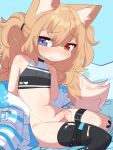  1boy animal_ear_fluff animal_ears belt black_thighhighs blonde_hair blue_background blue_eyes blush bottomless claravt_(roringclara) closed_mouth commentary commission cum english_commentary fox_boy fox_ears fox_tail heterochromia highres jacket long_hair long_sleeves male_focus navel nose_blush original otoko_no_ko penis red_eyes simple_background single_thighhigh sitting solo tail testicles thigh_belt thigh_strap thighhighs wariza white_jacket 