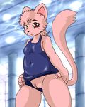  bagi bagi_the_monster_of_mighty_nature blush cat feline female mammal one-piece_swimsuit plump_labia pussy solo swimsuit unknown_artist 