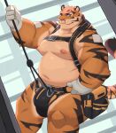 2024 anthro areola bag bandage barazoku belly belt biceps big_belly big_bulge big_muscles bulge clothed clothing eyebrows felid fur gloves handwear hanging_from_rope harness kemono looking_at_viewer male mammal moki moobs musclegut muscular muscular_anthro muscular_male navel nipples overweight overweight_anthro overweight_male pantherine rope simple_background solo thick_thighs thong thong_only tiger topless topless_anthro topless_male tuft underwear underwear_only