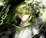  1boy androgynous bangs blue_eyes chain commentary_request cracked_skin dappled_sunlight enkidu_(fate) expressionless fate/grand_order fate/strange_fake fate_(series) floating_hair green_eyes green_hair hair_between_eyes half-closed_eyes highres leaf lens_flare long_hair looking_away looking_down nature plant robe shadow shiranui_(nisioisin_sinob) sidelocks slit_pupils solo sunlight upper_body white_robe 