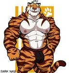 abs absurd_res anthro areola biped bulge clothed clothing countershade_face countershade_fur countershade_torso countershading darknaigart felid fur hi_res jockstrap jockstrap_only male mammal muscular muscular_anthro muscular_male nipples pantherine pecs solo striped_body striped_fur stripes tail tiger topless topless_anthro topless_male underwear underwear_only