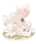  animal_focus black_eyes commentary_request dated flower grey_fur minccino mkt_(buizu-miki) no_humans on_grass one_eye_closed pawpads pokemon pokemon_(creature) signature simple_background sitting tail white_background white_flower 