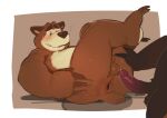 2024 absurd_res anthro anus balls bear bear_(masha_and_the_bear) blush brown_body butt duo erection genitals hi_res kogito male male/male mammal masha_and_the_bear overweight overweight_male penis simple_background