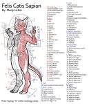 absurd_res ambiguous_gender anatomy anatomy_chart anatomy_reference anthro bone bone_structure catnip chart domestic_cat drugs felid feline felis female hairless hairless_cat hi_res humanoid mady_littler mammal muscular muscular_structure skeleton smoking solo sphynx_(cat)