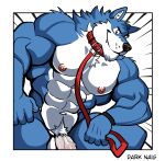 abs absurd_res anthro areola biped blue_body blue_fur canid canine canis collar countershade_face countershade_fur countershade_torso countershading darknaigart fingers fur genitals hi_res leash leashed_collar male mammal muscular muscular_anthro muscular_male nipples pecs penis solo vein veiny_penis wolf