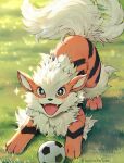  afterimage arcanine artist_name ball black_eyes blush bright_pupils commentary_request day fangs grass highres kaminokefusa lens_flare looking_at_viewer no_humans open_mouth outdoors pokemon pokemon_(creature) smile soccer_ball sparkle standing tail tail_wagging white_pupils 