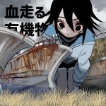  1girl bent_over bird black_eyes black_hair black_shorts blue_jacket closed_mouth cloud cloudy_sky colored_sclera giant giantess grass hair_between_eyes highres jacket kneeling long_sleeves original outdoors pink_sclera seagull ship shorts sky solo urokogaran watercraft zipper 