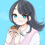  1girl black_hair blue_background blue_eyes blush collared_shirt eating food food_on_face highres holding holding_food long_hair long_sleeves looking_at_viewer original shirt solo sweater_vest taiyaki thick_eyebrows upper_body wagashi wolf_gugu 