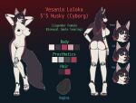  android animal_genitalia animal_pussy anthro big_breasts black_body black_fur black_hair black_nipples black_pussy breasts canid canine canine_genitalia canine_pussy canis chest_tuft domestic_dog english_text female fur genitals hair highlights_(coloring) husky machine mammal model_sheet nipples nordic_sled_dog pawpads prosthetic prosthetic_arm prosthetic_leg prosthetic_limb pussy red_eyes red_highlights red_pawpads robot solo spitz text tuft volpek6 white_body white_fur 