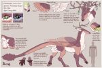  2021 absurd_res antlers border brown_body brown_feathers brown_fur brown_wings claws cloven_hooves deormynd deormynd_(character) dragon english_text feathered_wings feathers feral fur furred_dragon green_eyes green_tongue hi_res hooves horn human hybrid male mammal model_sheet multicolored_body multicolored_feathers multicolored_fur orange_border signature silhouette solo tan_body tan_feathers tan_fur tan_wings text toe_claws tongue tongue_out two_tone_body two_tone_feathers two_tone_fur two_tone_wings white_body white_feathers white_fur white_wings wings 