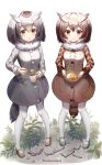  2girls absurdres bitseon black_hair blush brown_eyes brown_hair coat commentary cup curry curry_rice eurasian_eagle_owl_(kemono_friends) eyebrows_visible_through_hair food fur_collar grey_hair hair_between_eyes head_wings highres holding holding_spoon kemono_friends long_sleeves mug multicolored_hair multiple_girls northern_white-faced_owl_(kemono_friends) open_mouth pantyhose plate rice short_hair spoon tail tea white_hair 