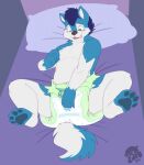  anthro bed canid canine canis clothed clothing cuddlehooves diaper domestic_dog furniture hand_on_diaper hi_res hybrid lying male mammal on_back pillow slightly_chubby solo spitz topless touching_diaper wintie_snowflake wolf wolfdog 
