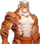  1boy abs animal_ears arashi_takemoto artist_request bara beige_fur check_artist furry game_cg gyee lin_hu_(nekojishi) loincloth looking_at_viewer male_focus midriff muscular muscular_male navel nekojishi official_alternate_costume official_art orange_fur red_male_underwear short_hair solo tiger_boy tiger_ears tiger_stripes underwear underwear_only 