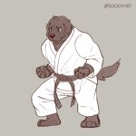  1:1 3000vnd anthro canid canine canis clothing domestic_dog karate karate_outfit male mammal martial_arts muscular muscular_anthro muscular_male solo sport 