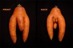  carrot food inanimate tagme vegetable 