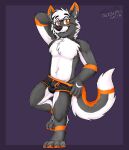  2021 anthro black_body black_clothing black_fur black_nose black_underwear boxers_(clothing) canid canine canis chest_tuft clothed clothing domestic_dog eyebrows fangs fur gaokun head_tuft hi_res husky looking_at_viewer male mammal nordic_sled_dog partially_clothed simple_background solo spitz topless topless_male tuft underwear watermark white_body white_fur 