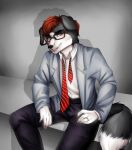  bench blue_eyes border_collie canid canine canis clothing collie digit_ring domestic_dog ermarausch eyewear formal_wear glasses hair herding_dog hi_res jaxxy_fur jewelry male mammal pastoral_dog red_hair ring sheepdog smile solo suit undone_tie wedding_ring 