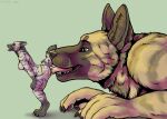  2021 ambiguous_gender anthro canid canine canis domestic_dog dutch_shepherd female female/ambiguous fur herding_dog hi_res macro mammal marjani open_mouth pastoral_dog penetration plushie sheepdog size_difference tongue tongue_out vaginal vaginal_penetration 