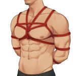  1boy abs arms_behind_back bara bound bound_wrists close-up facial_hair goatee highres koji_(wildlhz) large_pectorals male_focus mature_male muscular muscular_male navel nipples original pectoral_focus pectoral_press pectorals rope shibari short_hair solo stomach stubble upper_body 