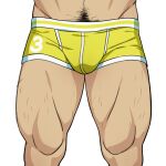  1boy bara boxer_briefs bulge hairy koji_(wildlhz) leg_hair lower_body male_focus male_pubic_hair male_underwear mature_male muscular muscular_male navel_hair original pubic_hair simple_background solo thick_thighs thighs underwear underwear_only white_background yellow_male_underwear 