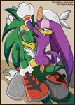  ayelet_ripley jet_the_hawk sonic_riders sonic_team wave_the_swallow 