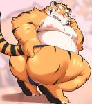  12beat13 2021 anthro belly blush butt clothing felid hi_res humanoid_hands kemono male mammal moobs nipples overweight overweight_anthro overweight_male pantherine pink_nose solo tiger underwear 