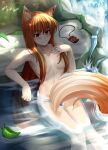  animal_ears bathing holcen_hosen holo naked spice_and_wolf tail 