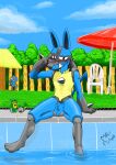  absurd_res alcohol animal_genitalia anthro balls beer beverage blue_body blue_fur duo eyewear fur genitals glasses grass grey_body grey_fur hi_res lucario male mammal mr_fuwa nintendo paws plant pok&eacute;mon pok&eacute;mon_(species) riolu sheath smile smiling_at_viewer solo spikes summer tagme tree umbrella video_games water yellow_body yellow_fur 