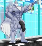  2021 5_fingers 5_toes absurd_res anthro balls canid canine canis city feet fingers fox fox_mccloud genitals hi_res macro male mammal micro muscleartguy muscular muscular_anthro muscular_male nintendo penis sidewalk star_fox street tail_grab toes video_games wolf wolf_o&#039;donnell 