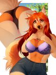  2021 anthro bra breasts canid canine canis clothed clothing day detailed_background digital_media_(artwork) domestic_dog eyebrows eyelashes female fur german_shepherd hair hera_(hera) herding_dog hi_res looking_at_viewer lynjox mammal orange_body orange_fur outside pastoral_dog red_hair sky smile solo tan_body tan_fur underwear 