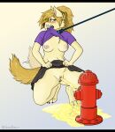  absurd_res anthro areola black_bars bladder_bulge blonde_hair blush bodily_fluids bottomwear breasts canid canine cheek_tuft chest_tuft claire_mitchell claws clothed clothing clothing_lift collar crouching digitigrade facial_markings facial_tuft female fire_hydrant genital_fluids genitals goodbiscuit hair head_markings hi_res leash letterbox looking_aside mammal markings mask_(marking) nervous nipples peeing ponytail pussy shirt shirt_in_mouth shirt_lift skirt skirt_lift solo sweat t-shirt tailwag teeth topwear tuft urine 