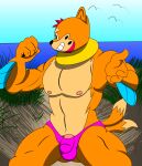  absurd_res anthro bikini_thong biped buizel clothing daniel_z._davis digital_media_(artwork) edit eroborus fur genitals hair hi_res humanoid_genitalia humanoid_penis male mammal muscular muscular_anthro muscular_male mustelid nintendo nipples outside pecs penis pok&eacute;mon pok&eacute;mon_(species) seaside smile solo swimwear thick_thighs toothy_grin video_games 