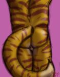  absurd_res anthro butt butt_focus felid gabe_(mytigertail) hermesdidit hi_res male mammal nude pantherine rear_view simple_background sketch slightly_chubby solo standing stripes tiger 