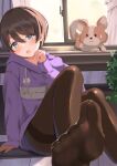  1girl :3 absurdres animal black_hair black_legwear blue_eyes blush chihuahua chikuwa_(yurucamp) dog feet file112056 highres hood hoodie indoors pantyhose saitou_ena short_hair sitting soles solo sweatdrop thighband_pantyhose yurucamp 