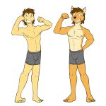  1:1 alternate_species anthro boxer_briefs bulge canid canine canis clothed clothing coyote duo flexing fuze hi_res human humanized male mammal mond_reyes navel nipples simple_background texnatsu topless underwear underwear_only white_background 