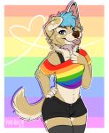  anthro canid canine canis clothing domestic_dog hi_res lgbt_pride mammal pride_colors solo sparksreactor 