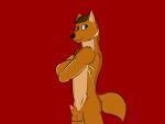  4:3 animal_genitalia anthro blue_eyes brown_hair canid canine fox genitals hair hi_res male mammal nude penis penis_tip red_background sheath simple_background slim solo tuft zee 