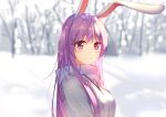  1girl absurdres alternate_costume animal_ears blush breasts bunny_ears bunny_girl carrot_necklace diving_penguin from_side hair_between_eyes highres long_hair looking_at_viewer looking_back medium_breasts outdoors pink_eyes purple_hair red_eyes reisen_udongein_inaba smile snow snowing solo sweater touhou upper_body very_long_hair white_sweater winter winter_clothes 