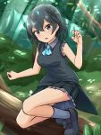  1girl :o ascot bangs bare_arms black_hair black_skirt black_vest blue_eyes blue_neckwear claw_pose dappled_sunlight eyebrows_visible_through_hair fang frilled_skirt frills full_body greater_lophorina_(kemono_friends) grey_footwear grey_shirt hair_between_eyes head_wings highres in_tree kemono_friends looking_at_viewer nature outdoors pleated_skirt shiraha_maru shirt shoes short_hair skirt sleeveless sleeveless_shirt socks solo sunlight tail tree twitter_username vest wing_collar 
